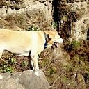 Miguel Ramirez Quintana