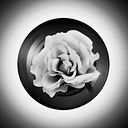 Sandra García Cabrero