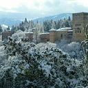 Angela Sánchez Pérez