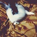 Nataly Quiche Hernandez