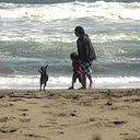 Maria Alejandra Alcaino Quezada