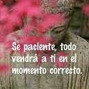 Luz A.