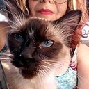 H Gloria Davenport Fentanes