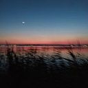 valeriya_oleshchenko