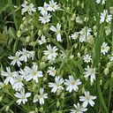 María Mosteirín Fernández