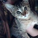 Natalia Subirats Piñana