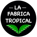 César Alexander Citul Pérez