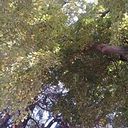 Paulina Salazar Parada