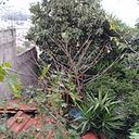 José Miguel Tilguant