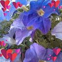 Mario Enrique Guichard Guerrero