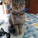 Mirna Elizabeth Villanueva Alcayaga