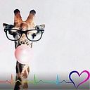 Mabel Susana Goenaga