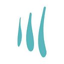 Saúl Sánchez Digital Experiences Agency