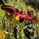 Laura Padilla Prieto