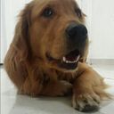 Andrea Milena Preciado Cárdenas