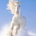 Conchi Nuño Antuña