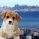 Radiologo Panoramico