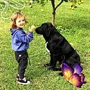 Miriam Bieladinovich