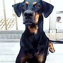 Luisa Sánchez Alonso