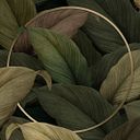 Lyzette Santillan Garcia