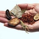 Fitoterapia Aplicada