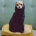 Mariasmotas de los Montes