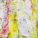 Lucia Sanchez Puerto