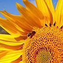 Silvia Martin Martinez