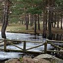 Jose Antonio Escobar