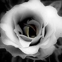 Blanca Beatriz Olmedo Báez