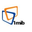 1MIB
