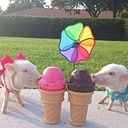 Eliana Bastidas Puentes