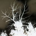 Miguel Ángel Mazón Ballester