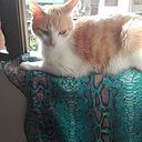 Marleny Vásquez Fernández