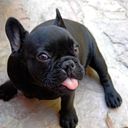 Antonio Solis Martinez de la Riva