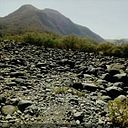 Fatima Lizbeth Mercado Ramirez