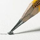 Survival Rialbtmoroyt