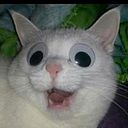 Wendy Rios Coz