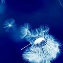 Pilar Aleixandre Chiva