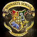 Luca Saettone Gamboa