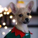 Javier Emmanuel Hernández Sandoval