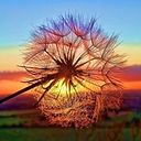 Angelica Rguez Castro