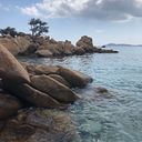 Cristina Arellano García