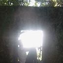 Roger Guzman