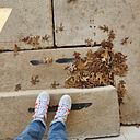 PALOMA DEL R. MEZA LARA