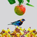 Carlos Aldao pastoriza