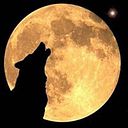 Romel Flores Sillerico