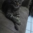 Milberth Hernández