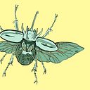 Blanca Buenafé Cerdán