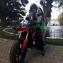 Dante Cjt Vdc